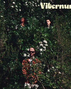 Vibernum